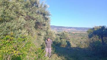 horche reunion olivar16