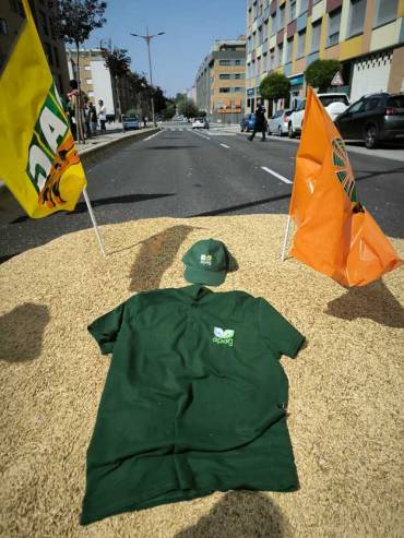 APAG Concentración Gu Cereal 1