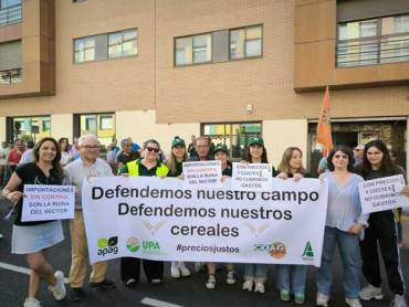 APAG Concentración Gu Cereal 16