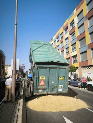 APAG Concentración Gu Cereal 19