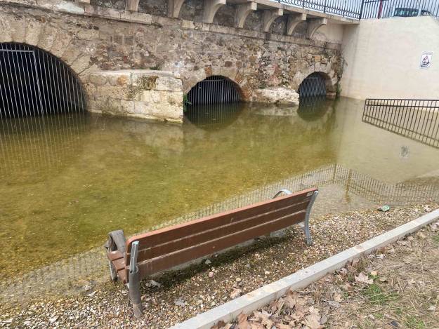 Acumulacion de agua y fango estancada delante de las jaulas del puente arabe