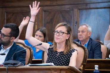 Diputada provincial de Turismo Arantxa Pérez Gil pleno 13-6-25 1