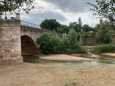 Especies arboreas comienzan a crecer y no le hacen ningun bien al puente