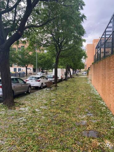 Guadalajara Tormenta inundación avenida de Francia 5
