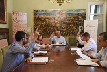 Junta Gobierno Diputación 2-6-25 1