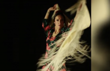 flamenco
