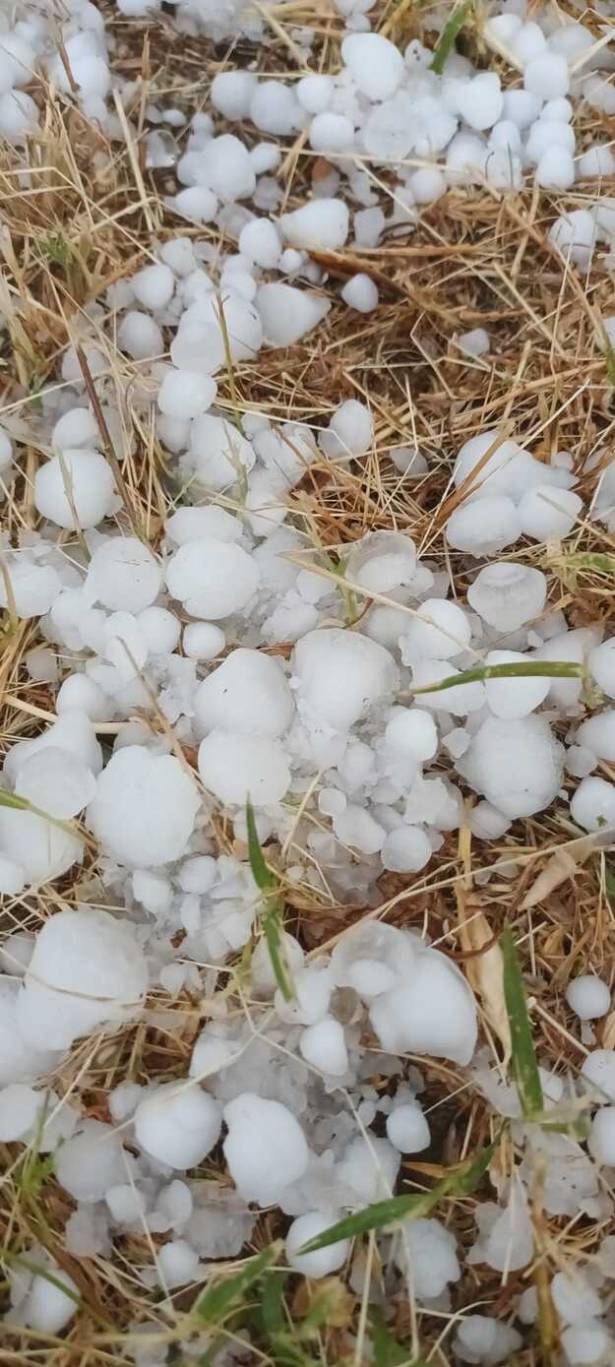 APAG daños granizo 3