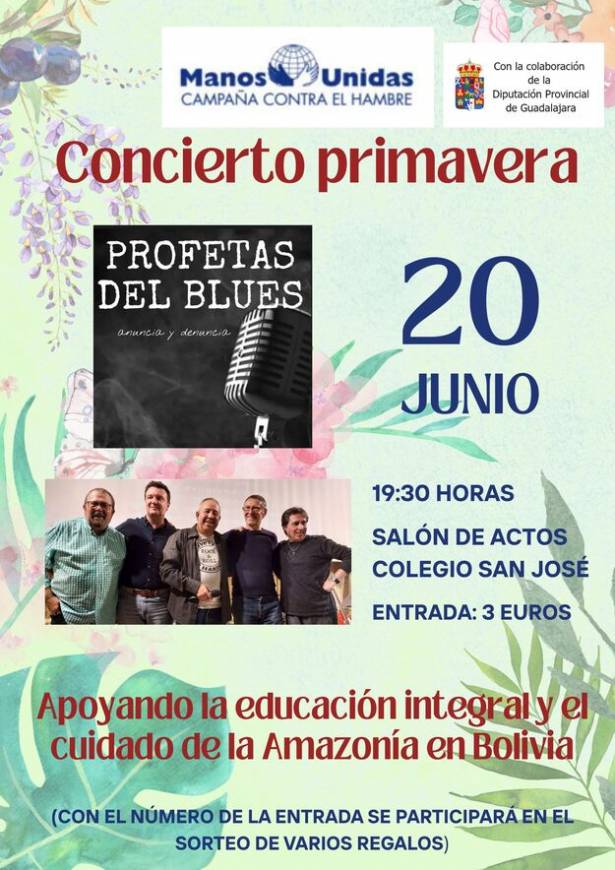 manos Unidas Cartel Concierto Primaver 1