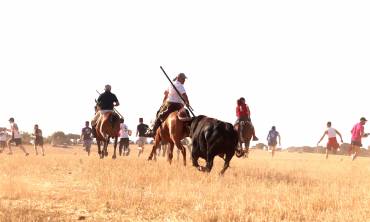 ENCIERRO POR EL CAMPO 2024 cabanillas 0