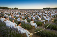 festival de la lavanda
