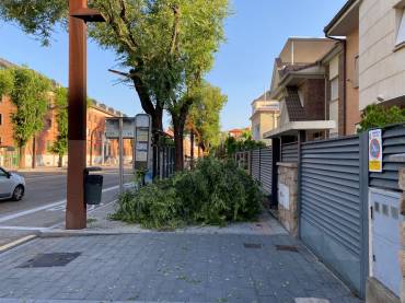 rama caida calle toledo tormenta 3 junio 2025