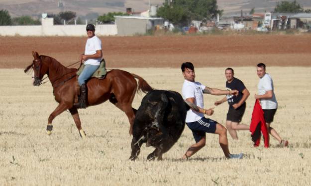 ENCIERRO POR EL CAMPO JUEVES FIESTAS cabanillas 2025 15