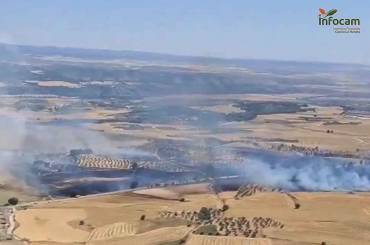 Infocam incendio agrícola Almoguera