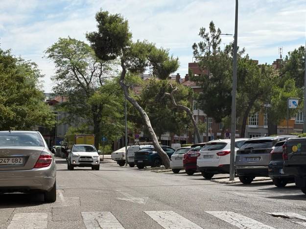 calle maria pacheco