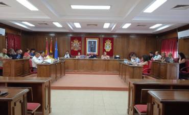 pleno 31 julio 1