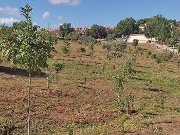Bosque Urbano