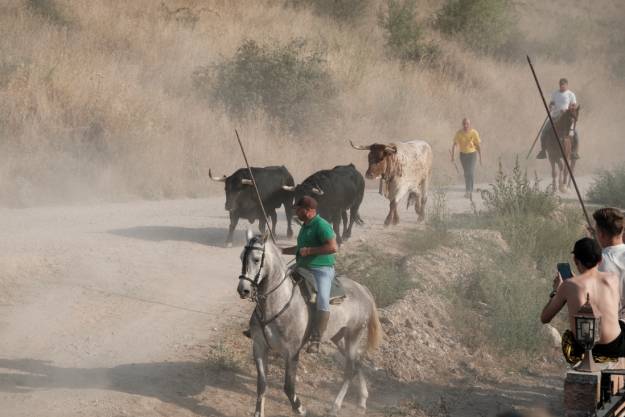ENCIERRO BRIHUEGA 2513