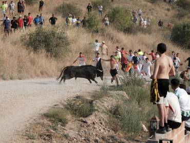 ENCIERRO BRIHUEGA 2520