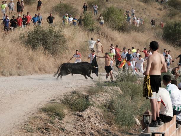 ENCIERRO BRIHUEGA 2520