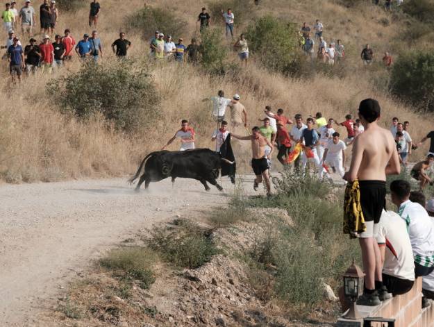 ENCIERRO BRIHUEGA 2520
