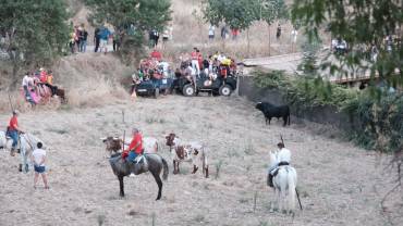 ENCIERRO BRIHUEGA 2523