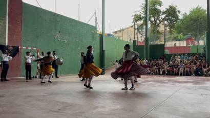 Vane2 1