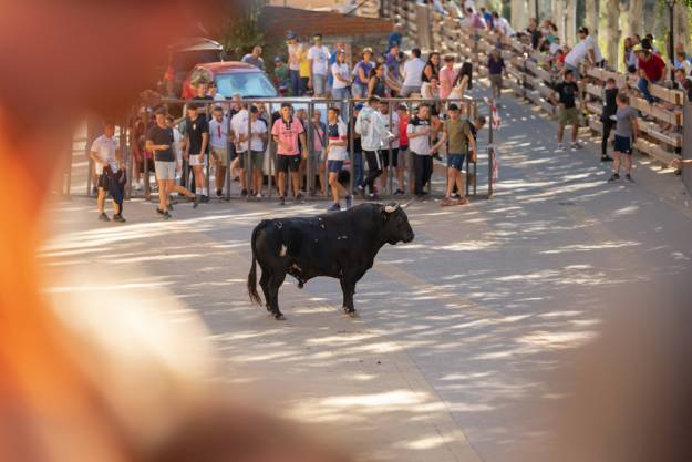 fiestas trillo 25-5