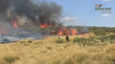 incendio generica infocam