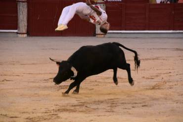 recortes1