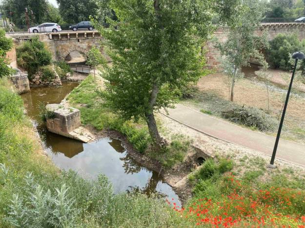 rio henares molino del duque
