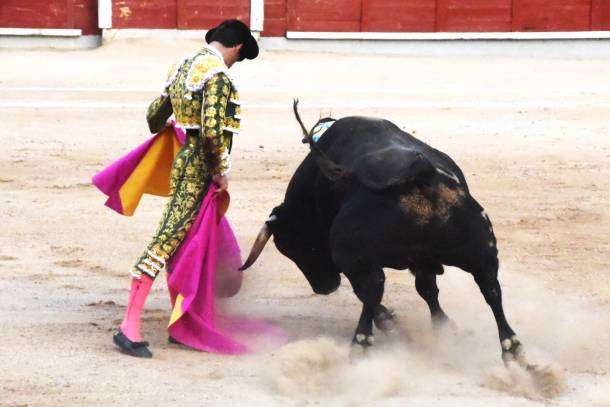 Luque3
