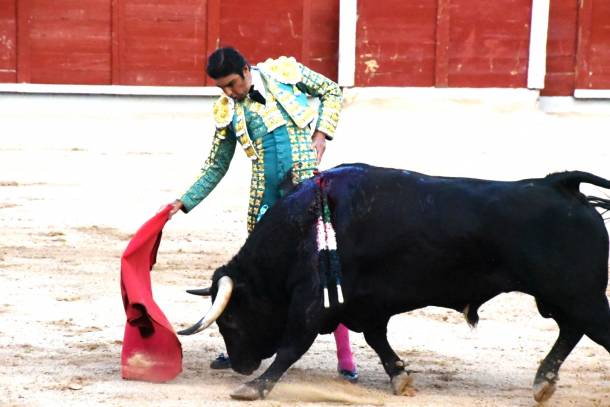 Perera