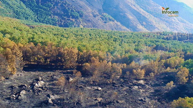 Incendio Pico del Lobo Infocam 30