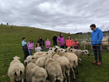 feria ganado cantalojas 1 apag
