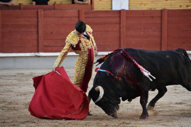 Aguado1