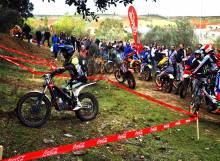 trial mesones