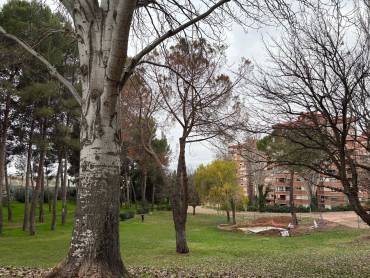 parque constitución GD  1