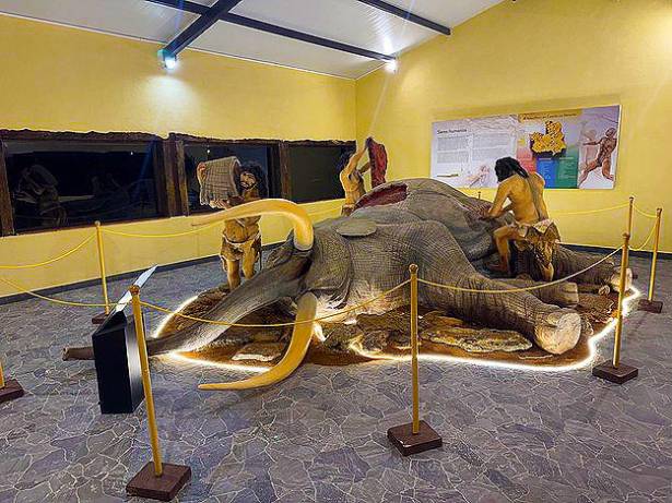 Tamajón CIPAT mamut prehistoria 4