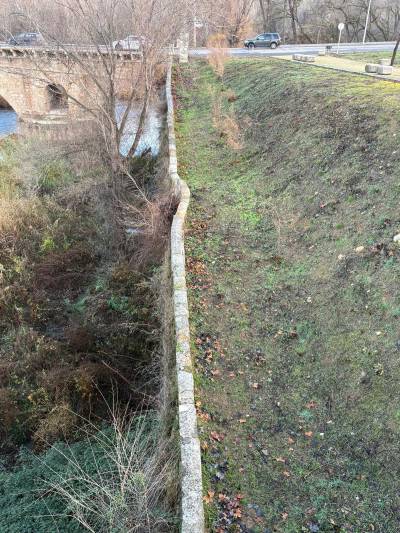barbacana afectada por raices puente arabe