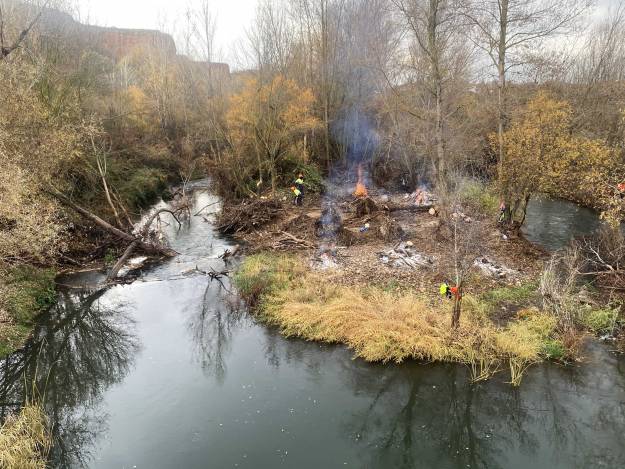 limpieza rio henares tragsa 2025