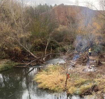 limpieza río henares tragsa 2025 1