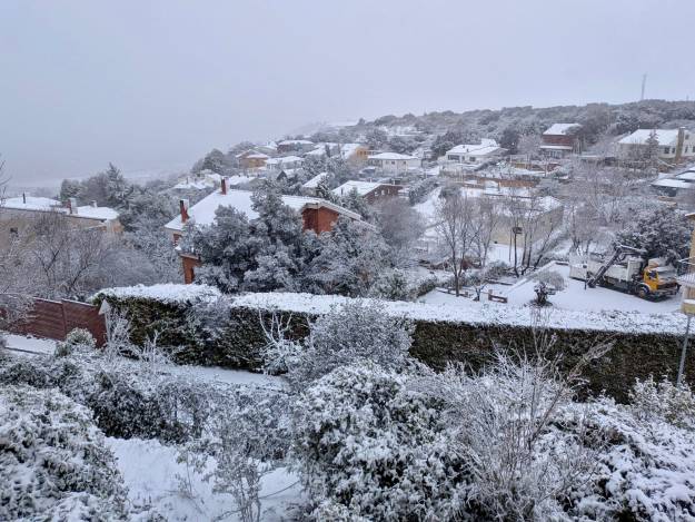 nevada clavin 28012026