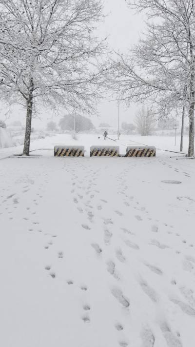 nevada valdeluz 28012026 marcos manso