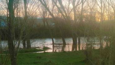 Río Henares Manantiales 2