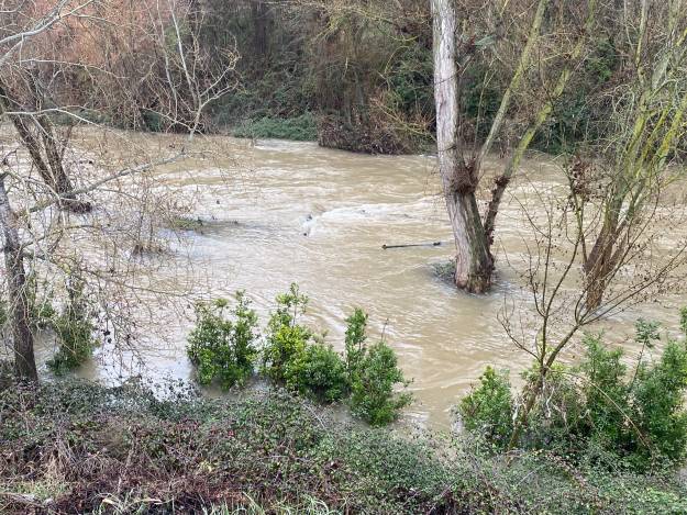 mirador inundado solo se ven los palos de la barandilla Luis Barra