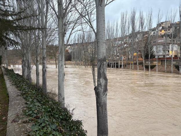 tajo trillo 6 febrero 2026