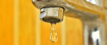 Guadalalagua foto grifo corte de agua 1