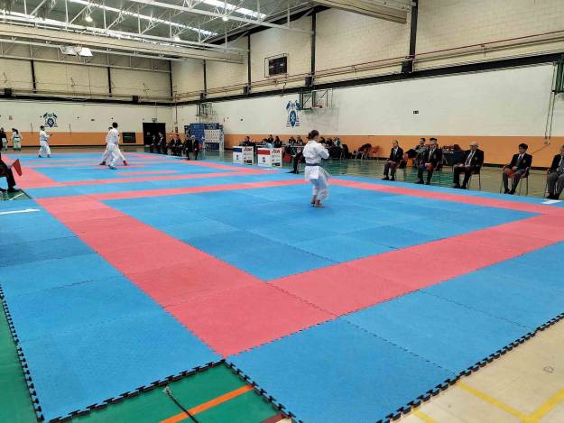 Kárate Universidad de Alcalá