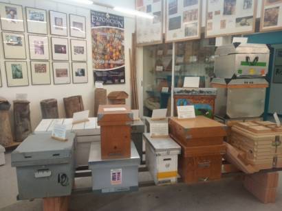 IMG 20220528 122523 1