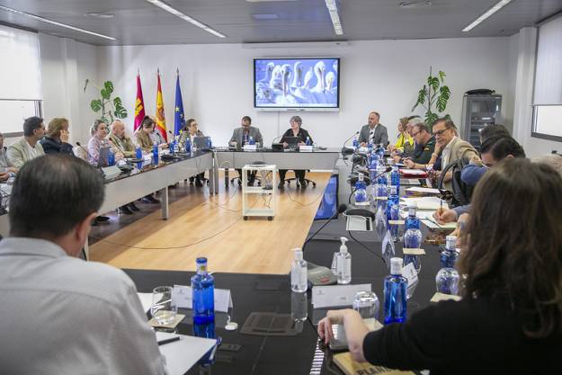 mesa regional del conejo